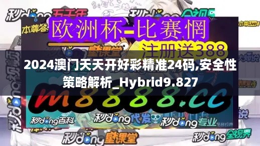 2024澳门天天开好彩精准24码,安全性策略解析_Hybrid9.827