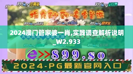 2024澳门管家婆一肖,实践调查解析说明_W2.933