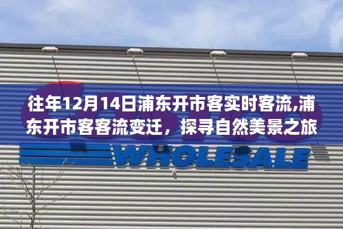 浦东开市客客流变迁与探寻自然美景之旅，开启心灵平静之旅的启示
