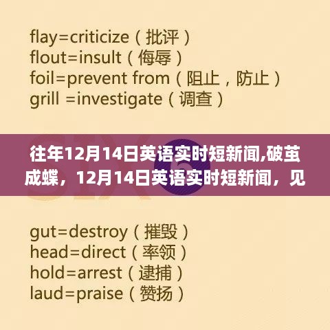 huifeiyinmie 第6页