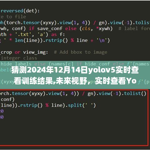 洞悉未来，2024年12月14日Yolov5实时训练结果跟踪与AI视觉新动向展望