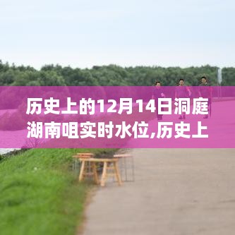 zhanchiyufei 第4页