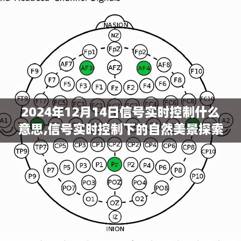 yibuyedi 第6页