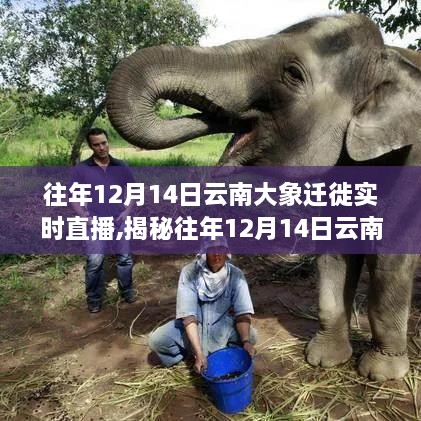 走马观花 第6页