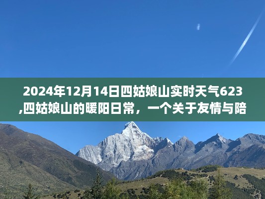 四姑娘山暖阳下的友情与陪伴，温馨故事与实时天气展望