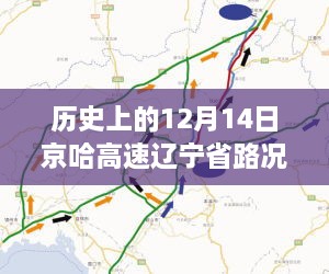 正版内容 第394页