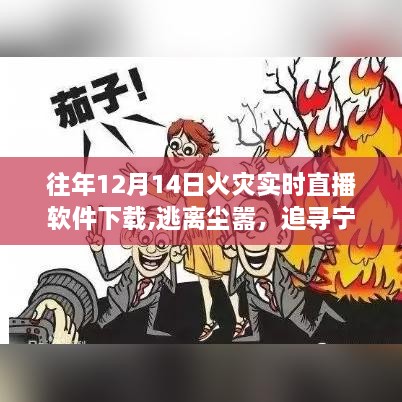 fuguibiren 第6页