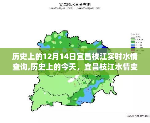 chenyuluoyan 第5页