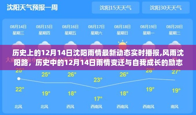 沈阳风雨变迁与自我成长的励志篇章，历史上的雨情实时播报与回顾