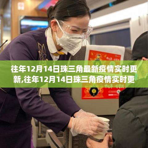 往年12月14日珠三角疫情实时更新概览，关注要点、动态与防控措施全面解读