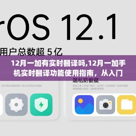 12月一加手机实时翻译功能详解，从入门到精通的使用指南