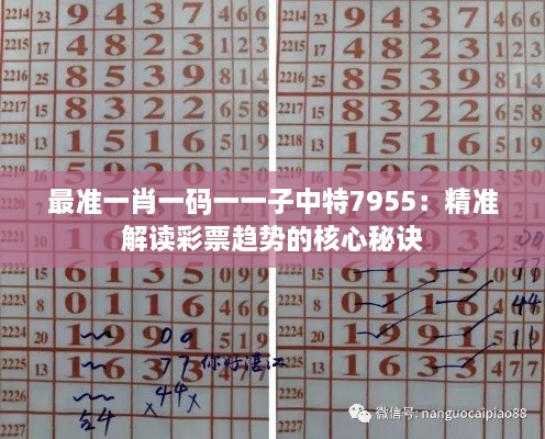 huayangxinfan 第3页