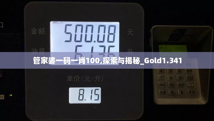 管家婆一码一肖100,探索与揭秘_Gold1.341