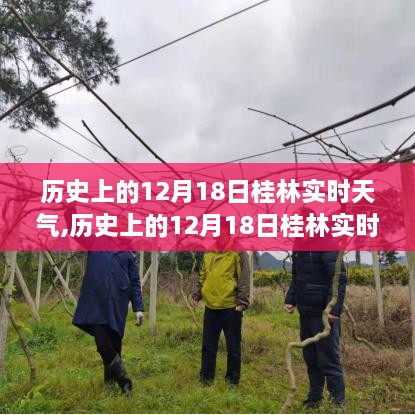 历史上的桂林12月18日实时天气深度解析与介绍
