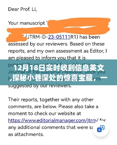 探秘小巷深处的惊喜宝藏，特色小店美食之旅与实时信息分享（12月18日）