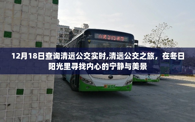 biannucejian 第4页