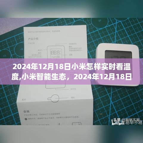小米智能生态深度解读，实时温度监测技术的时代地位与未来展望