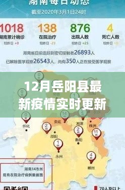 岳阳县12月疫情实时更新，防控进展及公众应对指南