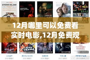 maomeiruhua 第4页