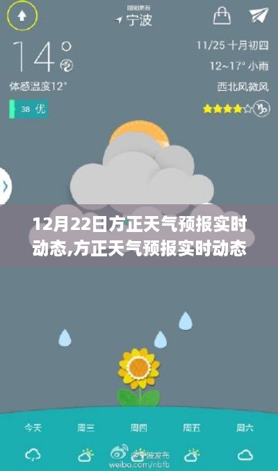niaojingyuhai 第4页