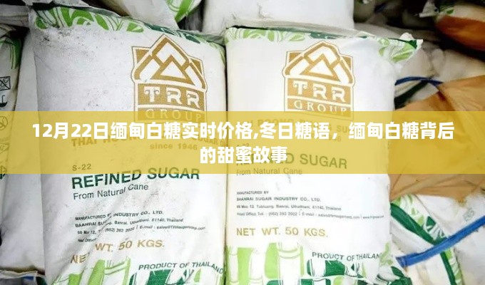 缅甸白糖背后的甜蜜故事，实时价格与冬日糖语揭秘