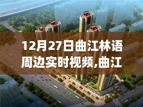 曲江林语冬日趣事与温情时光实时视频记录，暖阳下的日常趣事周边纪实
