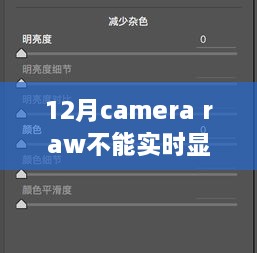 十二月Camera Raw无法实时显示，日常挑战与暖心应对之道