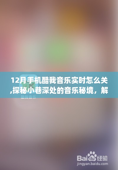 huifeiyinmie 第3页