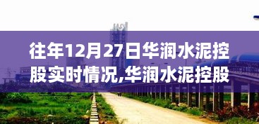 华润水泥控股实时情况详解，查询指南及往年数据回顾（适用于初学者与进阶用户）