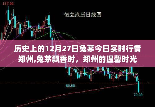 郑州兔茅飘香，历史行情与温馨时光
