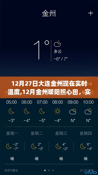 12月金州实时温度下的励志故事，暖阳照心田，学习铸就自信与成就