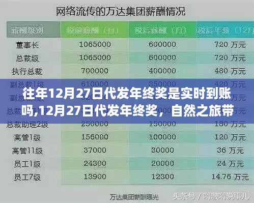 年终福利揭秘，代发奖金实时到账与心灵平静的自然之旅