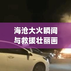 niaoweiyiwu 第3页