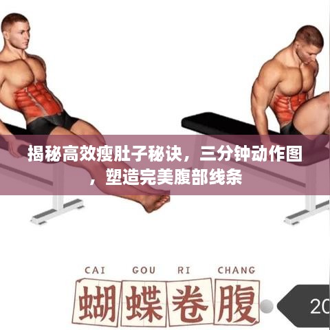 pingshuixiangfeng 第3页