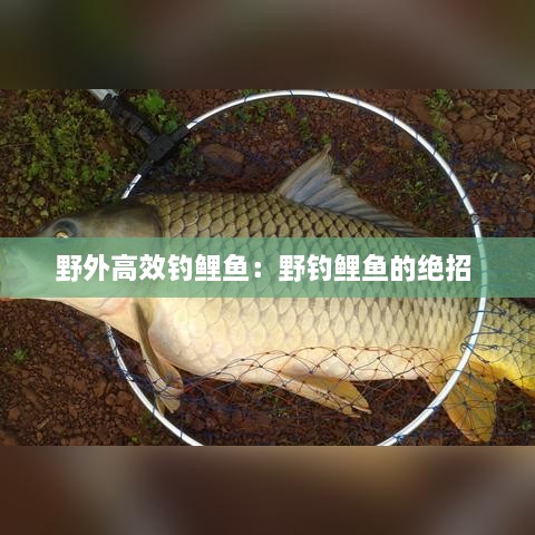 雍容雅步 第2页