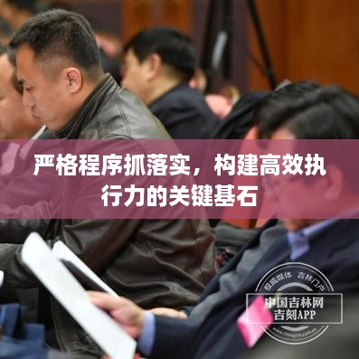 严格程序抓落实，构建高效执行力的关键基石
