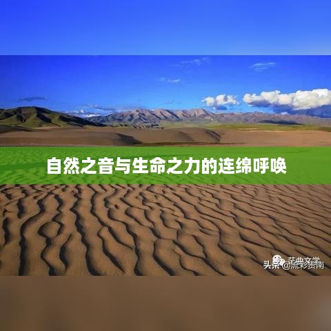 zhangzhangququ 第3页