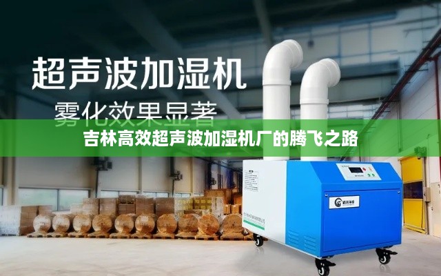 吉林高效超声波加湿机厂的腾飞之路