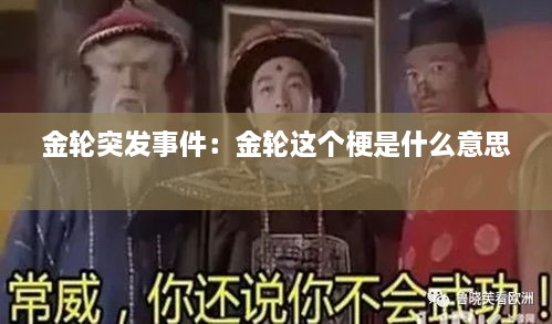 金轮突发事件：金轮这个梗是什么意思 