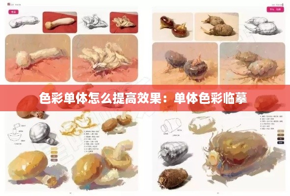 色彩单体怎么提高效果：单体色彩临摹 