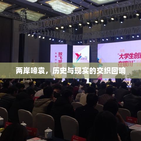 两岸啼袁，历史与现实的交织回响