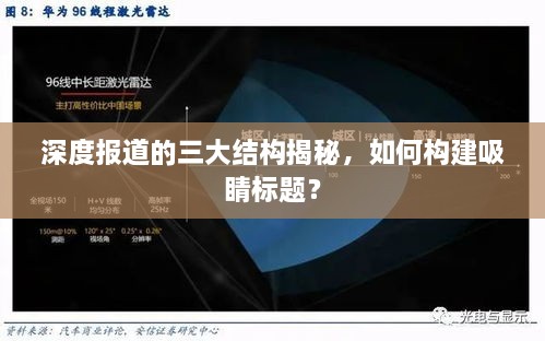 虚张声势 第3页