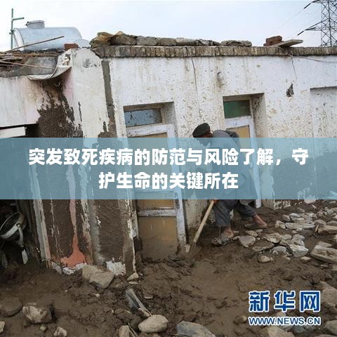 突发致死疾病的防范与风险了解，守护生命的关键所在