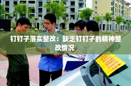 钉钉子落实整改：缺乏钉钉子的精神整改情况 