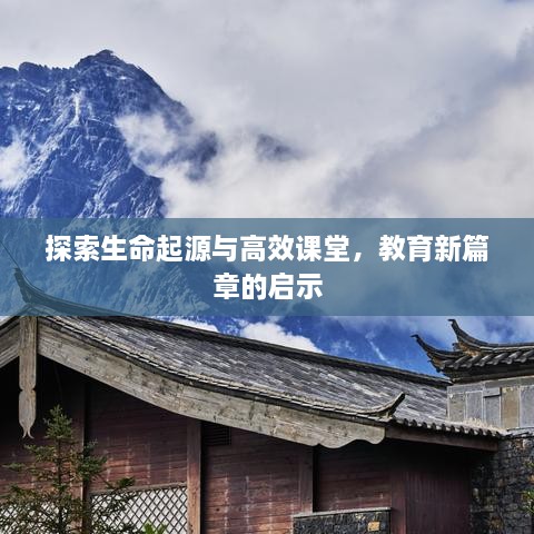 探索生命起源与高效课堂，教育新篇章的启示