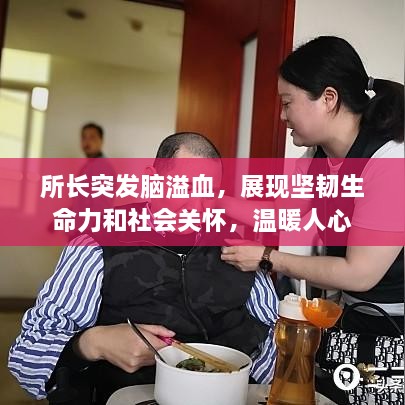 zuoshedaobian 第3页