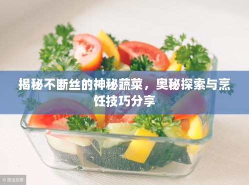 揭秘不断丝的神秘蔬菜，奥秘探索与烹饪技巧分享