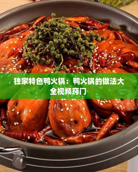 独家特色鸭火锅：鸭火锅的做法大全视频窍门 