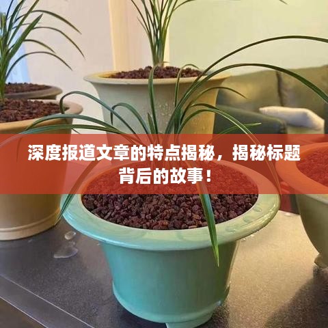 深度报道文章的特点揭秘，揭秘标题背后的故事！