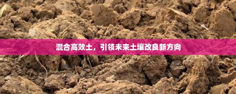 混合高效土，引领未来土壤改良新方向
